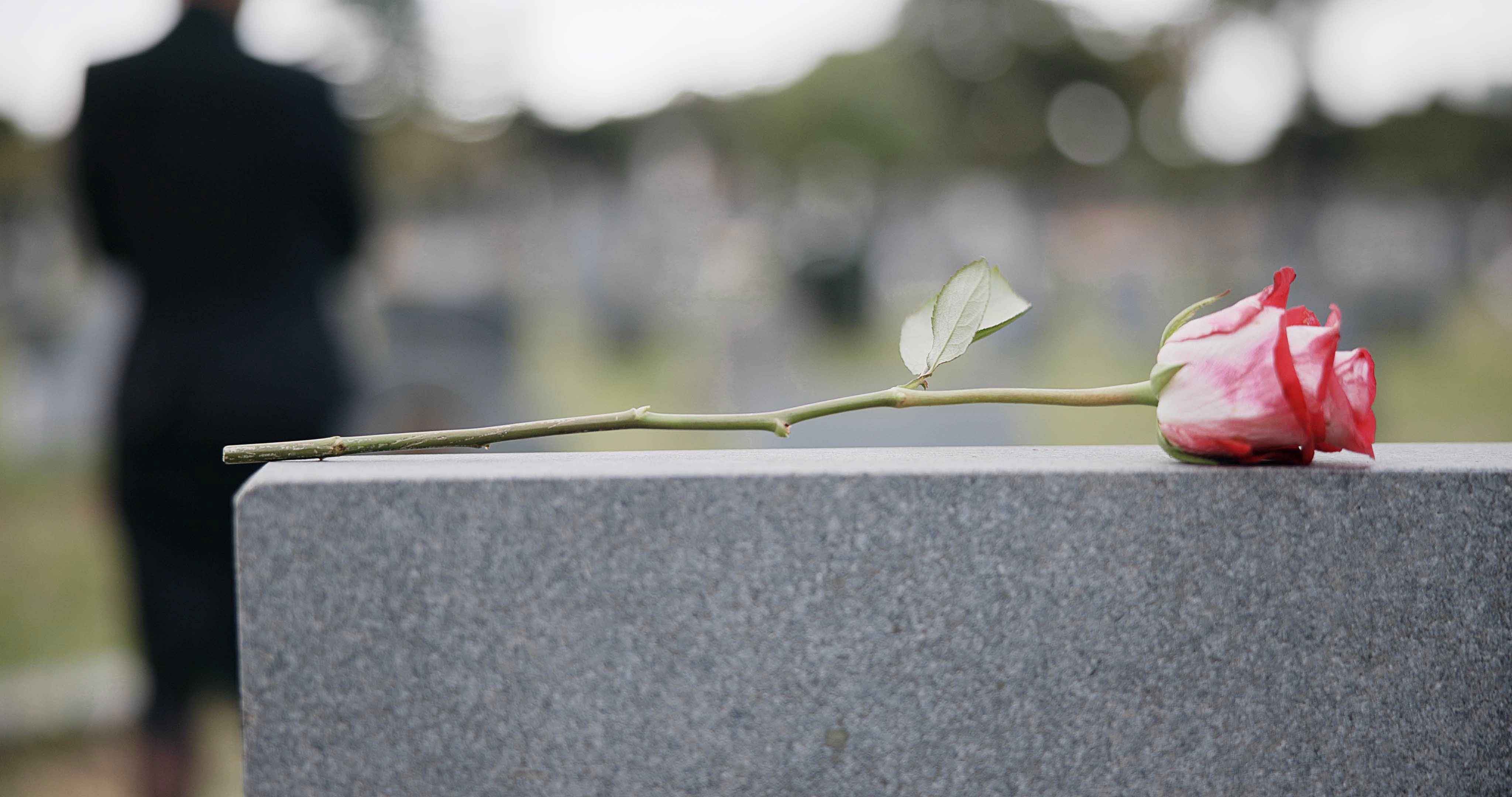 DIGITAL ESTATE PLANNING SERVICES